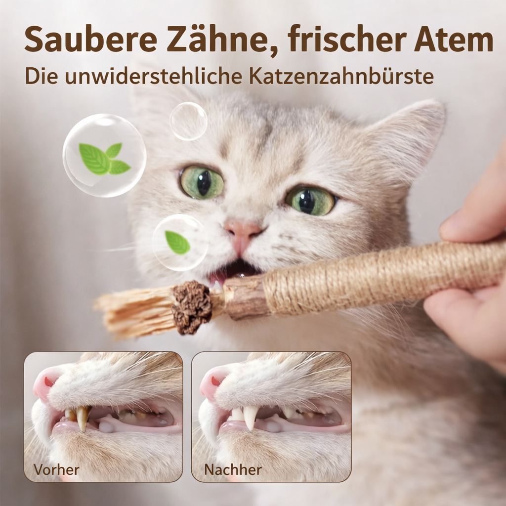 FurJoy™ Natur-Katzenspielzeug – Interaktiver Kaustab für aktive Stubentiger