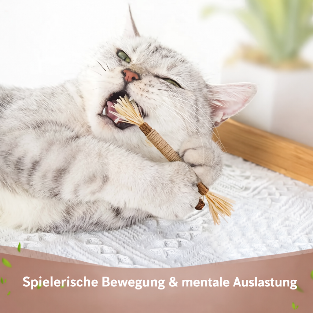 FurJoy™ Natur-Katzenspielzeug – Interaktiver Kaustab für aktive Stubentiger